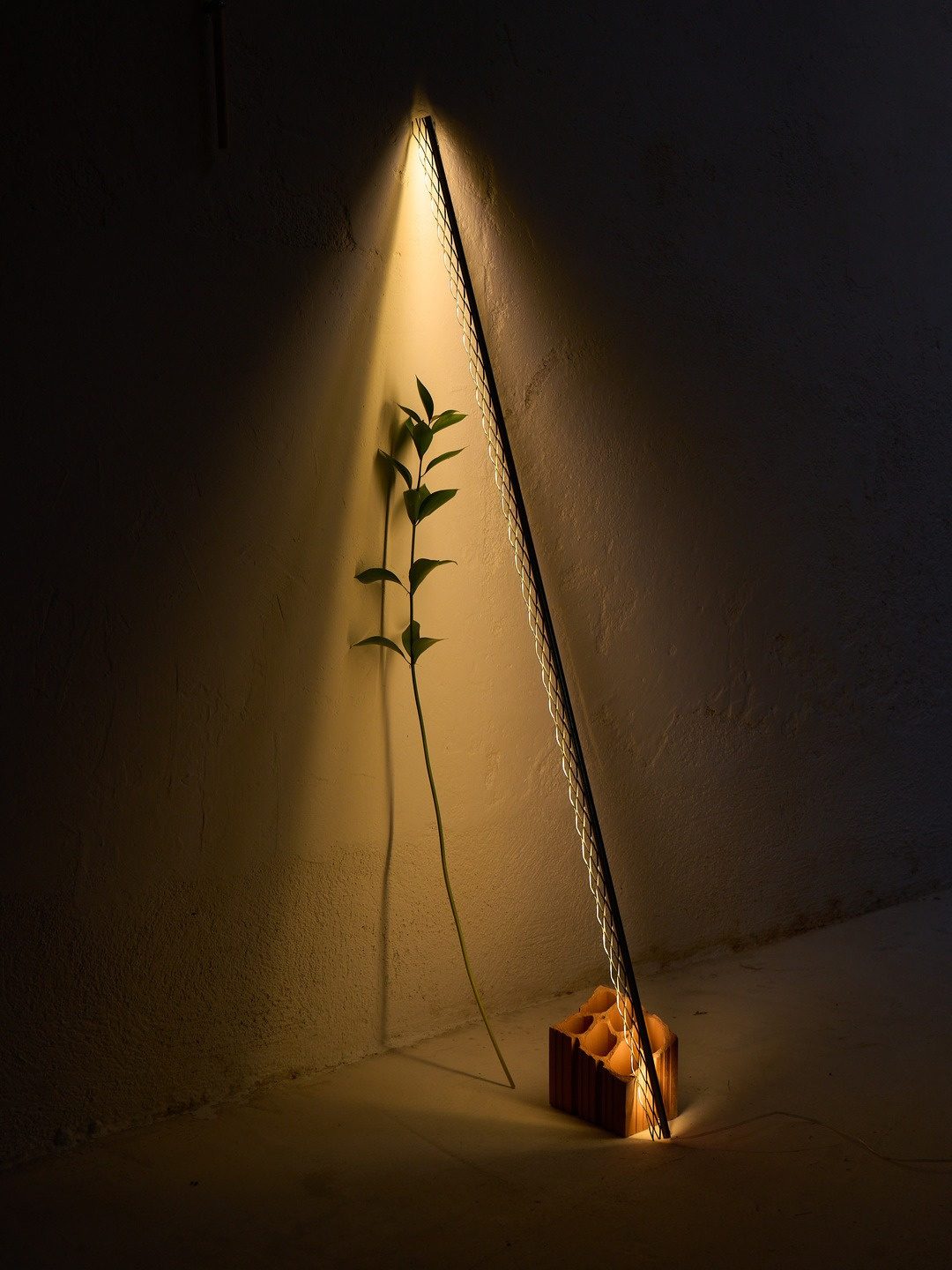 Luz PERFIL