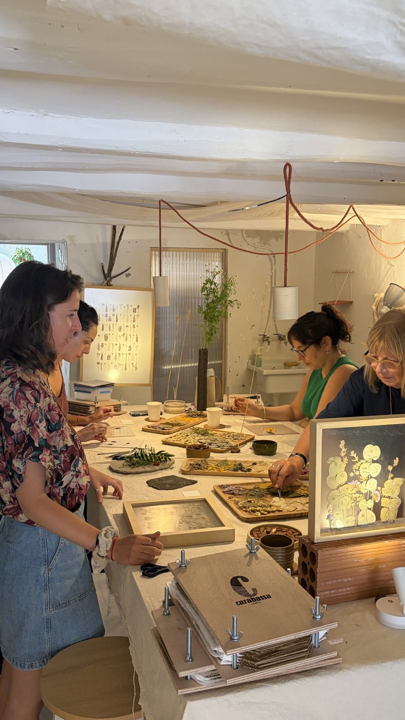 Taller de herbario en AL MAR