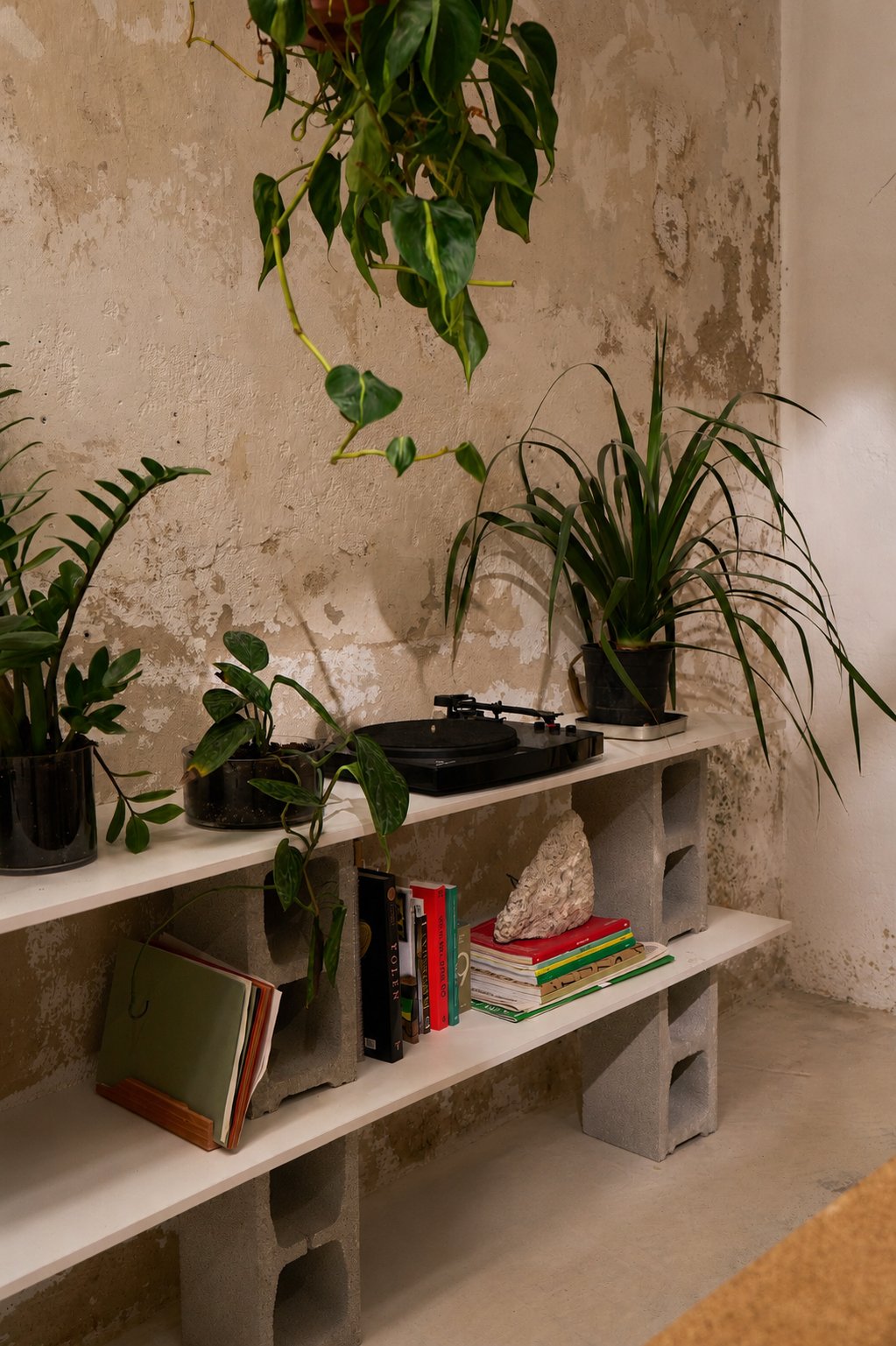 Estantería de bloques con libros, plantas y tocadiscos