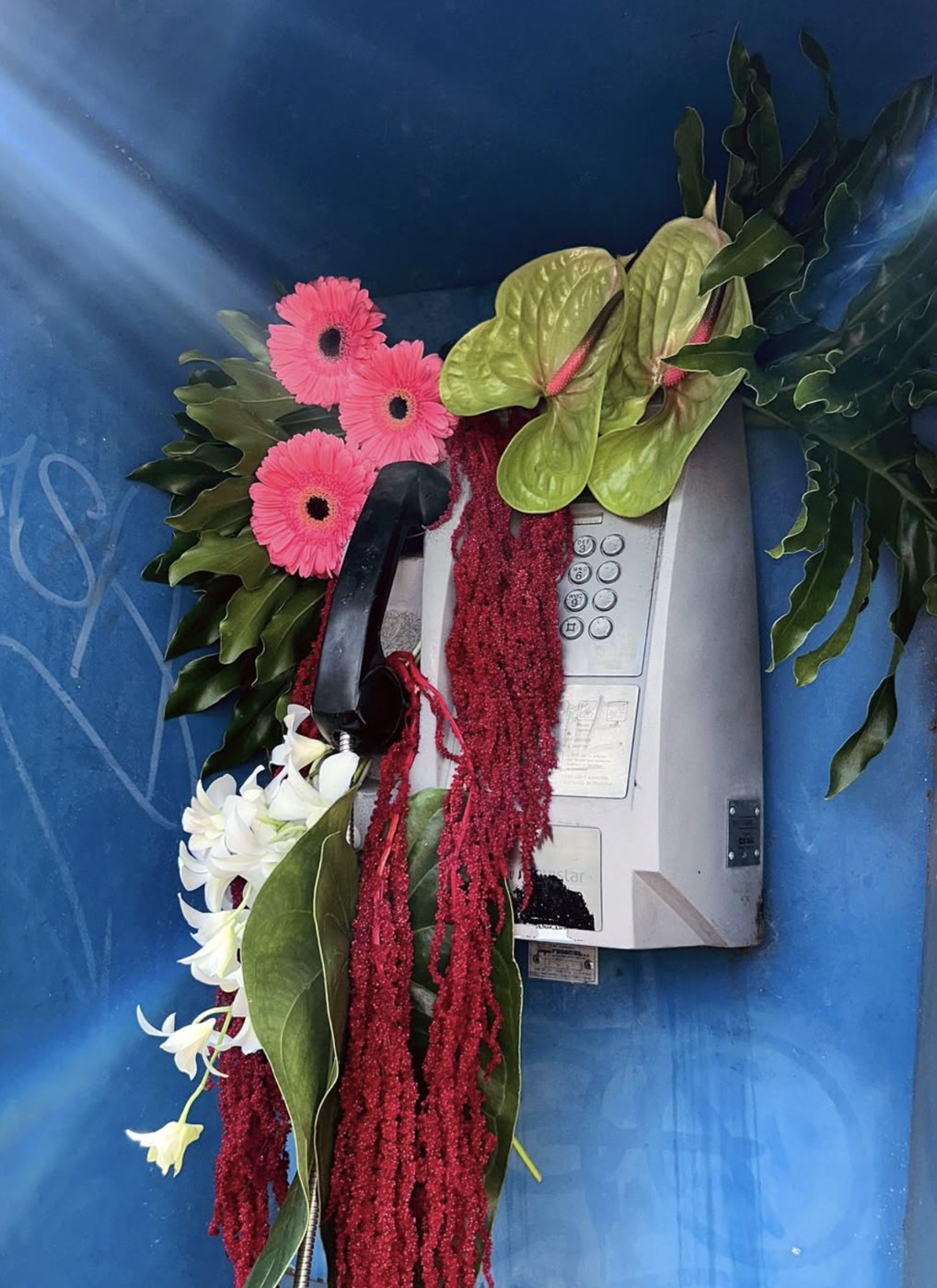 Teléfono público cubierto de flores y hojas en una cabina azul