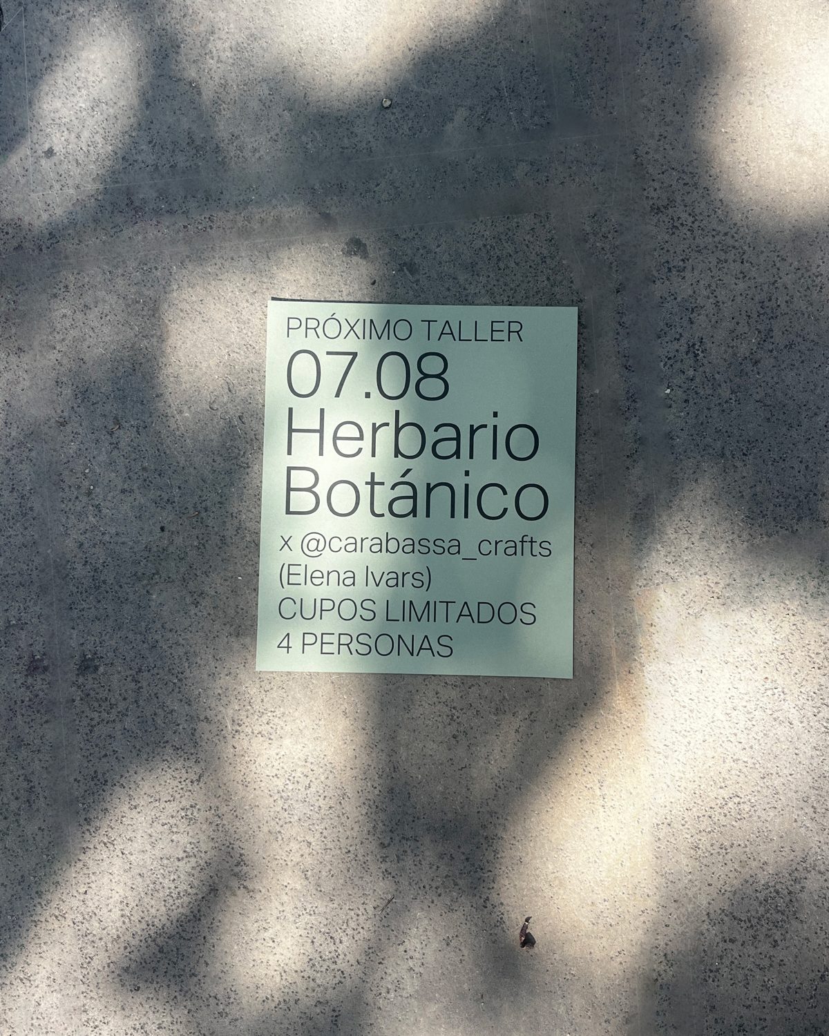 Flyer del taller Herbario Botánico con Carabassa Crafts