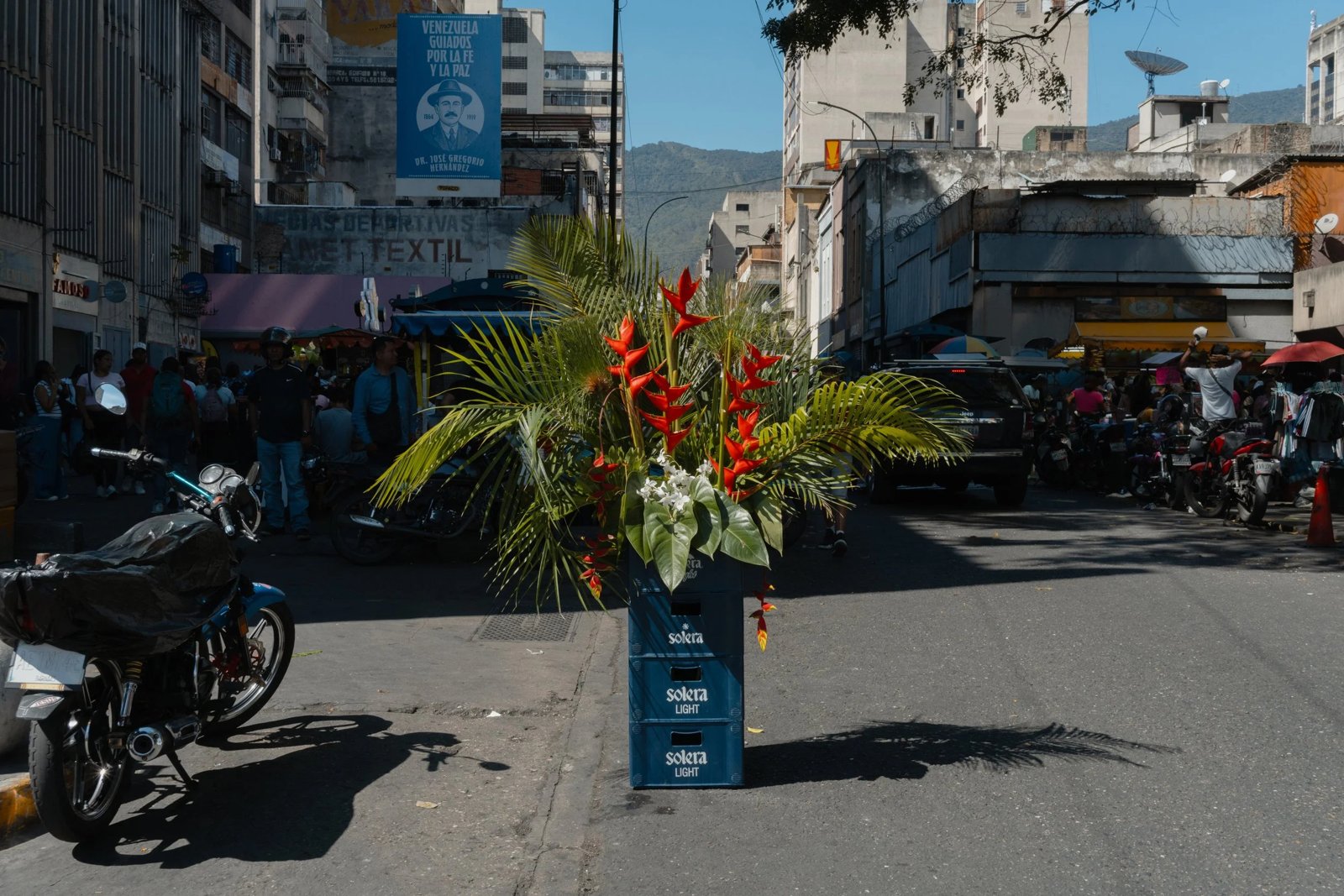 Arreglo de heliconias y palmas sobre cajones de cerveza en una calle de Caracas
