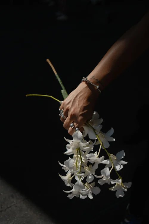 Mano con un ramo de orquídeas blancas
