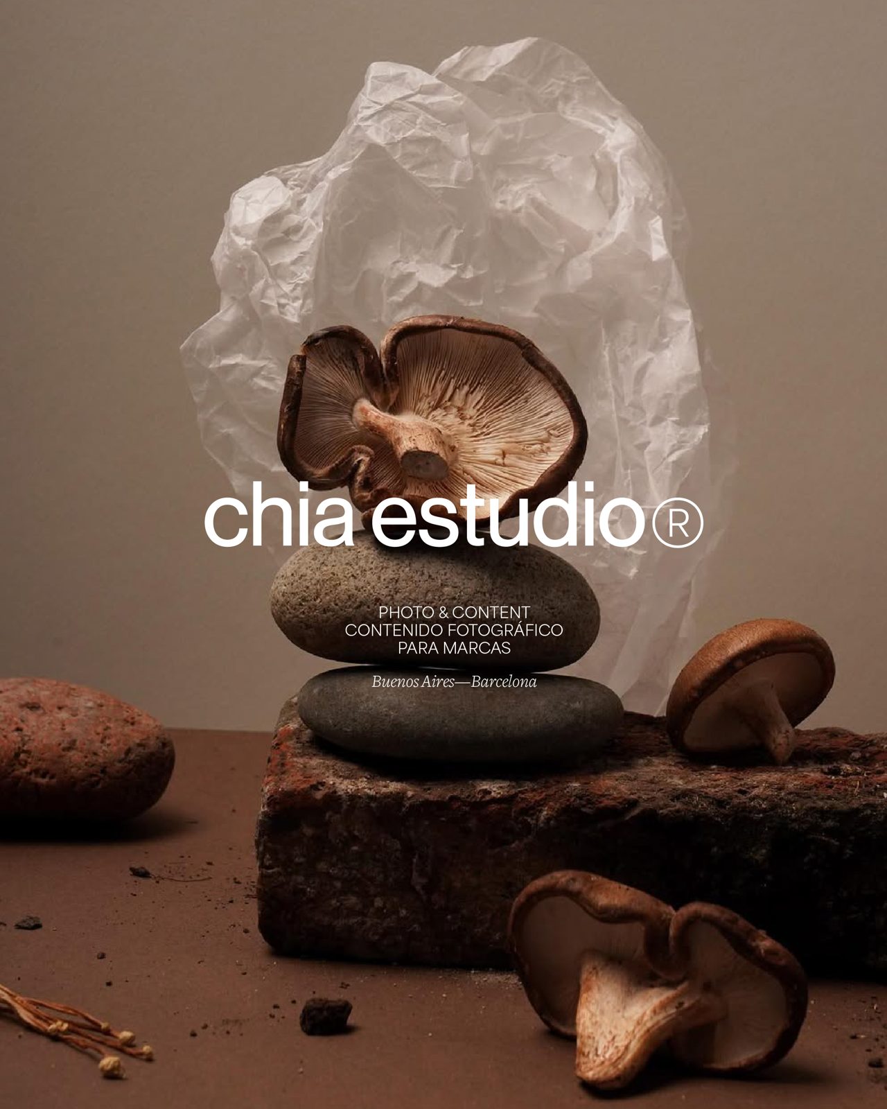 Estudio CHIA, foto 2