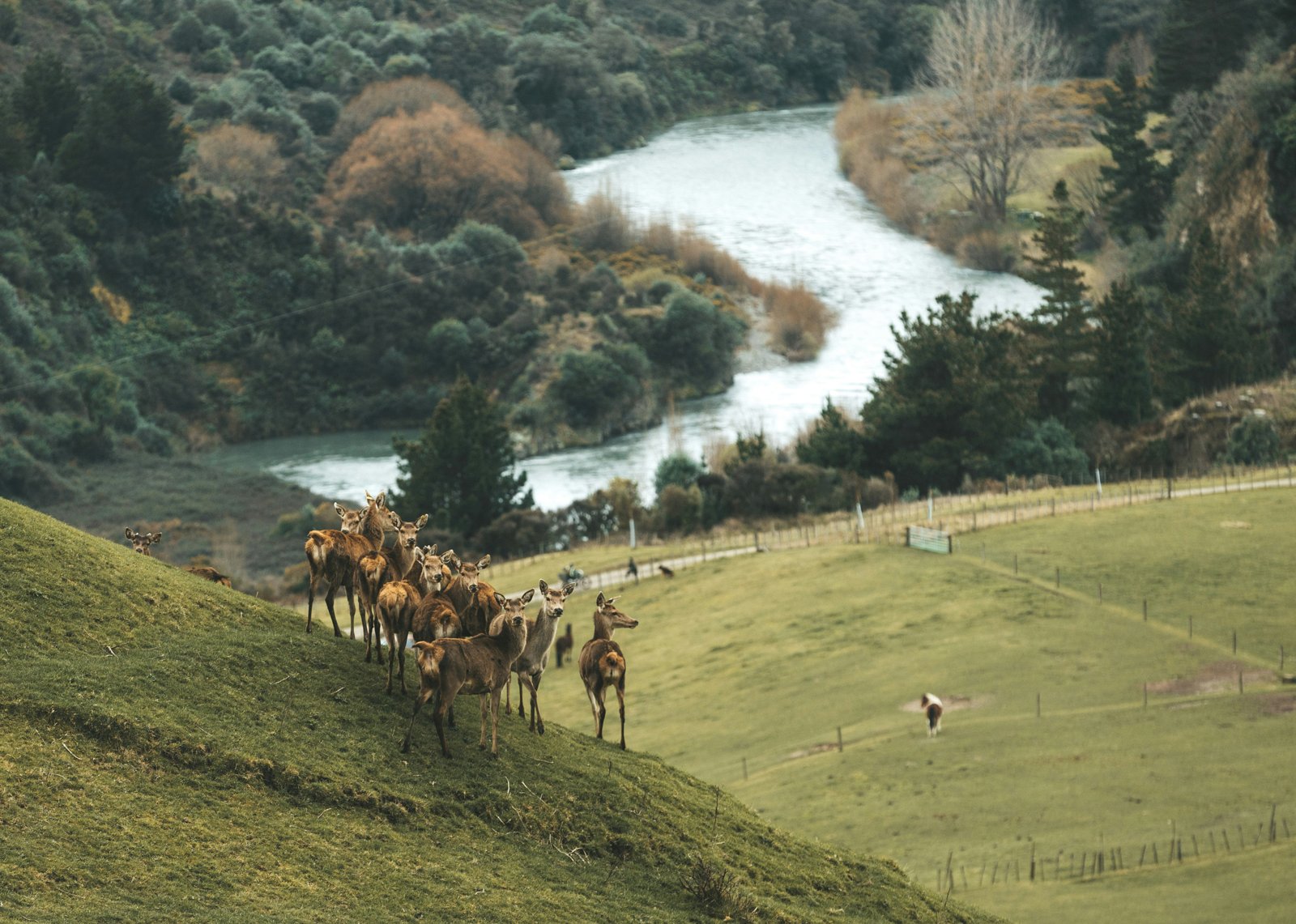 Paisaje de campo y río