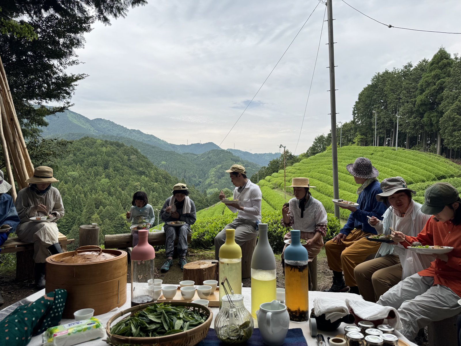 Cata de té al aire libre entre plantaciones